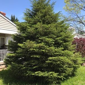 Meet your Posher, Nute